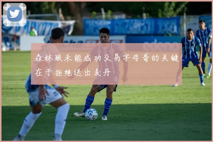 森林狼未能成功交易字母哥的关键在于拒绝送出麦丹